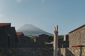 Pico Vineyards