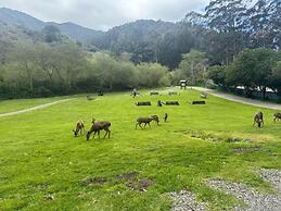 Peaceful 1BR Stay - Golf & Beach