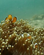 Irene Resort Koh Lipe