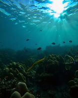 Irene Resort Koh Lipe