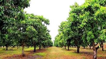 Kamal Farm Resort