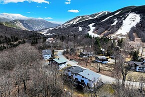 Hiking Galore: Mittersill Townhome in Franconia!