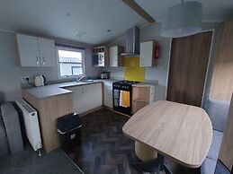 602 Sycamore forest