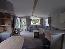 602 Sycamore forest