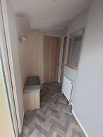 602 Sycamore forest