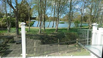 602 Sycamore forest