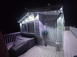 602 Sycamore forest