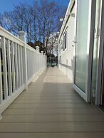 602 Sycamore forest