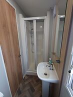 602 Sycamore forest