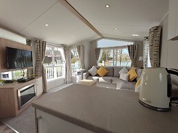 602 Sycamore forest