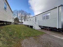 602 Sycamore forest