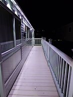 602 Sycamore forest