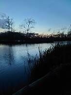 602 Sycamore forest