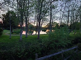 602 Sycamore forest