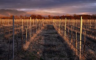 Eclipse Winery Boutique Hotel