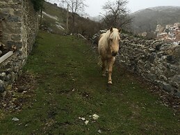 RIOJANIA TRADITIO MOUNTAIN
