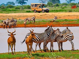 Kisiwa Apartments Watamu
