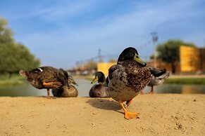 Al Marmoom Oasis Luxury Tents and Bedouin Experience