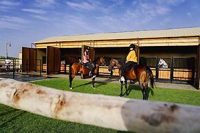 Al Marmoom Oasis Luxury Tents and Bedouin Experience