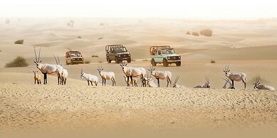 Al Marmoom Oasis Luxury Tents and Bedouin Experience