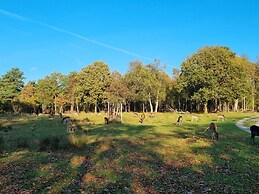 5 Star Holiday Home in Bogense