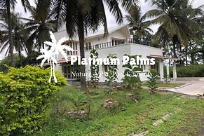 Platinum Palms Villa With Pool