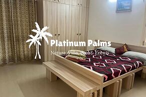 Platinum Palms Villa With Pool