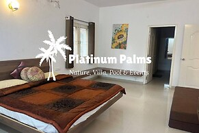 Platinum Palms Villa With Pool