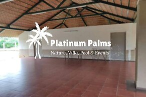 Platinum Palms Villa With Pool
