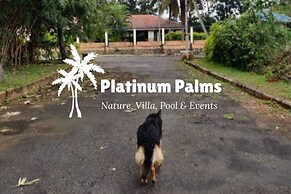 Platinum Palms Villa With Pool