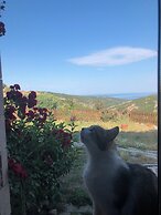 Assos Pırnal Köy Evi