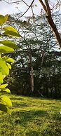 Boca Tapada Rainforest