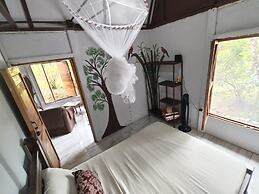 Boca Tapada Rainforest