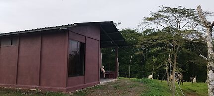 Boca Tapada Rainforest