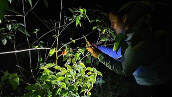 Boca Tapada Rainforest