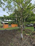 Boca Tapada Rainforest