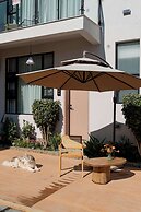 Wuyi Whispering Maple