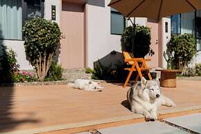 Wuyi Whispering Maple