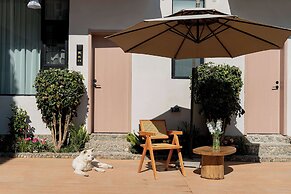 Wuyi Whispering Maple