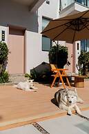 Wuyi Whispering Maple