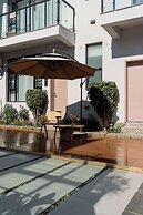 Wuyi Whispering Maple