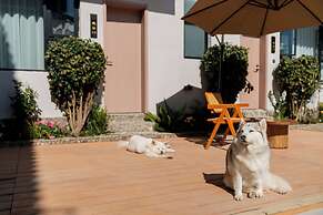 Wuyi Whispering Maple