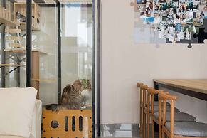 Wuyi Whispering Maple