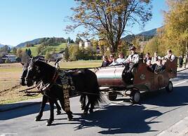 Charming Apartment in Goldegg, Austria - Mountain Views & Private Entr