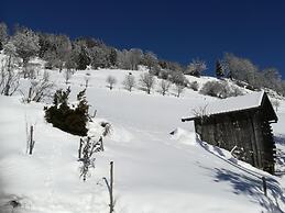 Charming Apartment in Goldegg, Austria - Mountain Views & Private Entr