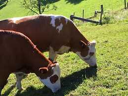 Charming Apartment in Goldegg, Austria - Mountain Views & Private Entr