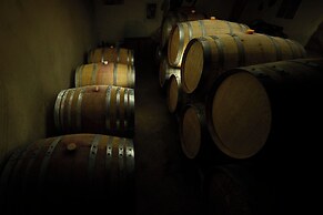 Areni Wine Art