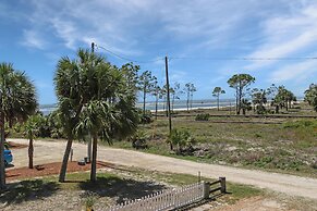 Palmetto Breeze