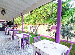 Mor Salkım Konağı