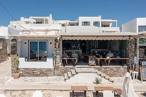 cactus suites